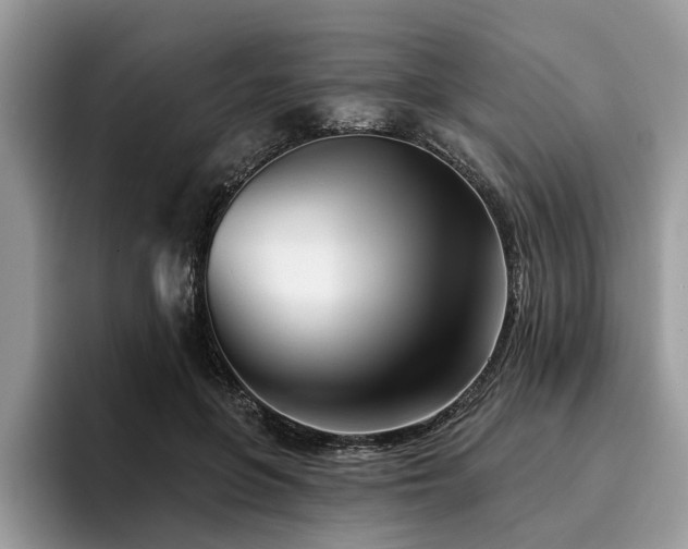 X0000096210551200801181432