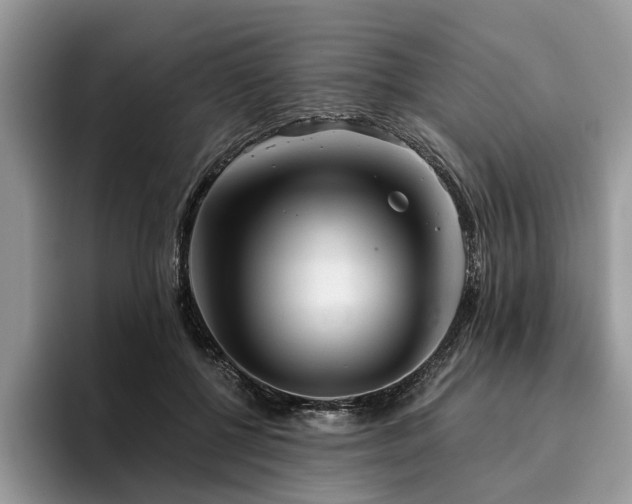 X0000096210552200801181432