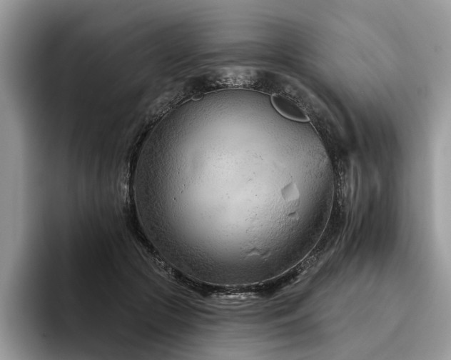 X0000096210553200801181432