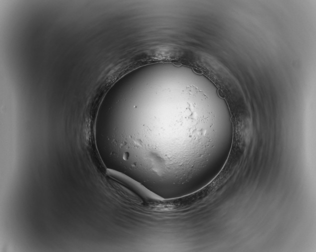 X0000096210554200801181432