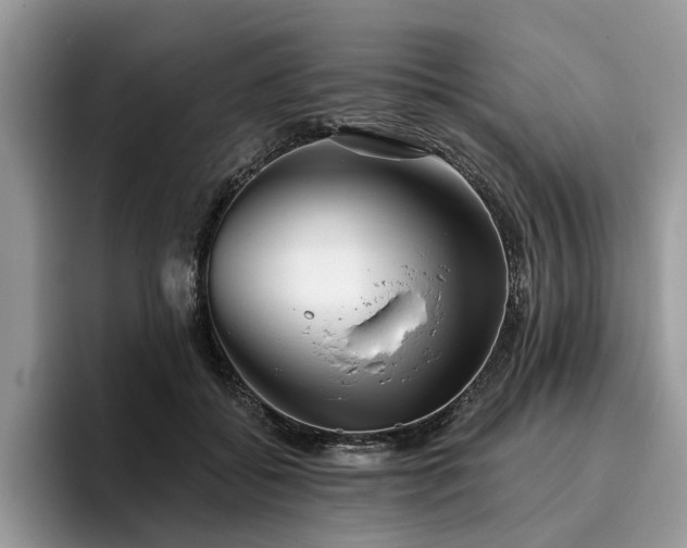X0000096210556200801181432