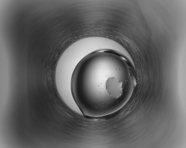 X0000096210558200801181432