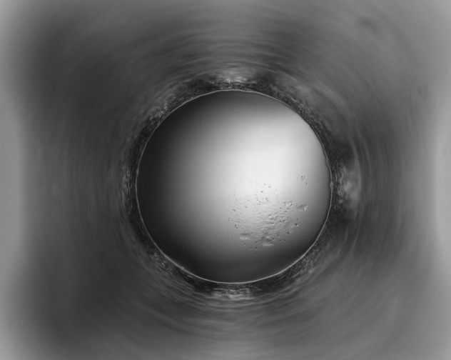 X0000096210559200801181432