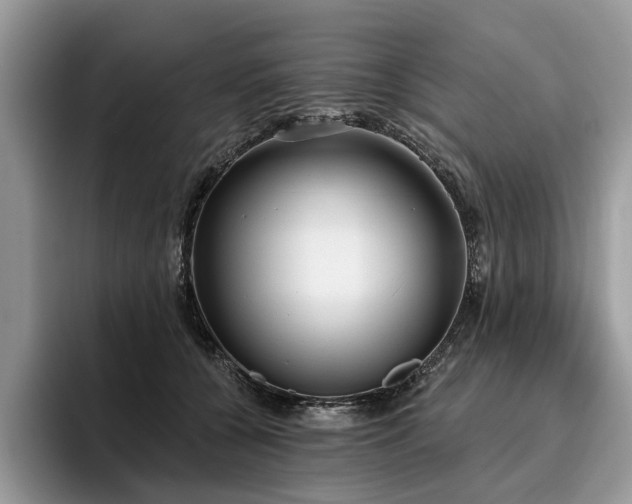 X0000096210560200801181432