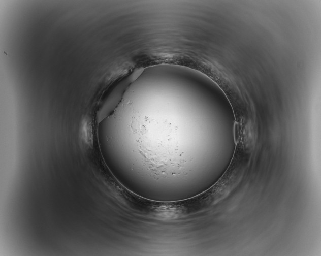 X0000096210562200801181432