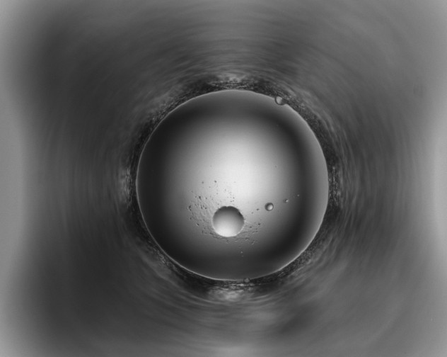 X0000096210563200801181432