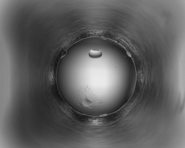 X0000096210564200801181432