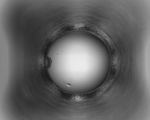 X0000096210565200801181432