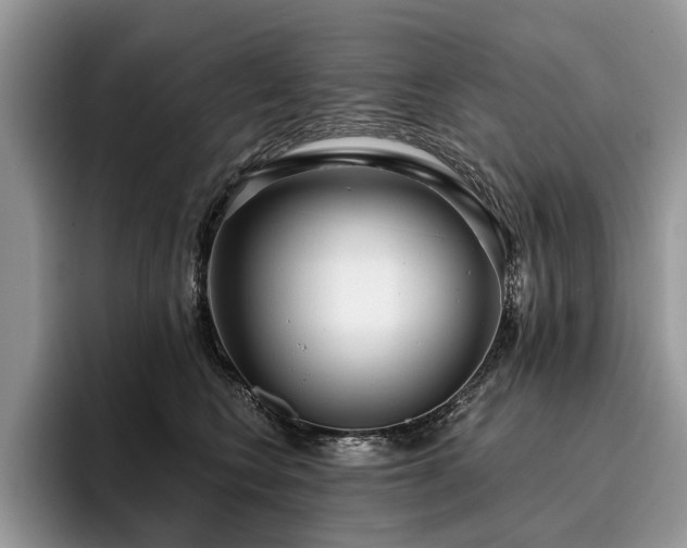 X0000096210566200801181432