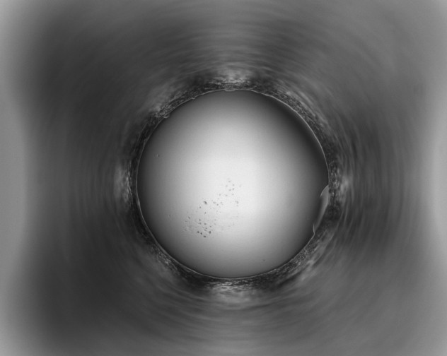 X0000096210568200801181433