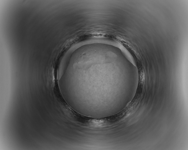 X0000096210570200801181433