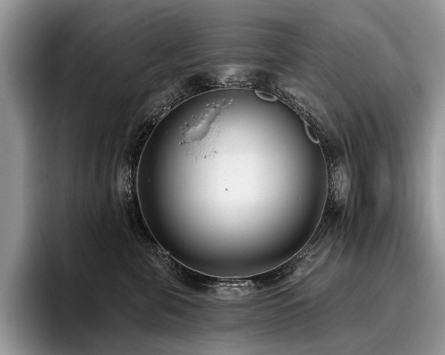 X0000096210571200801181433