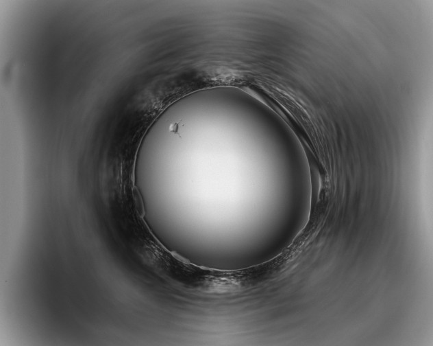 X0000096210572200801181433