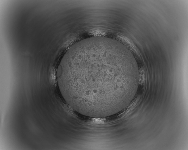 X0000096210573200801181433