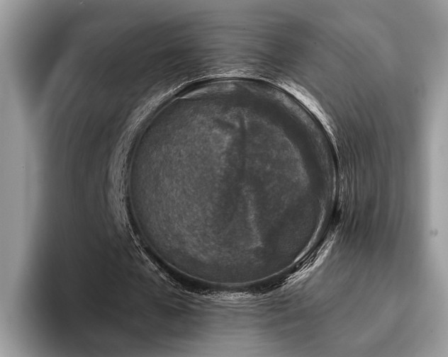 X0000096210577200801181432