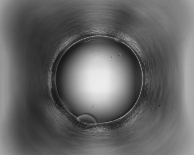 X0000096210578200801181432