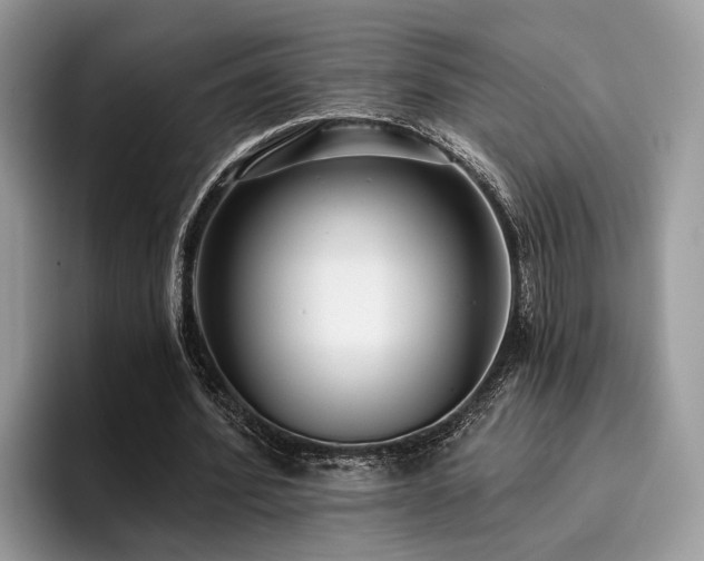 X0000096210580200801181432