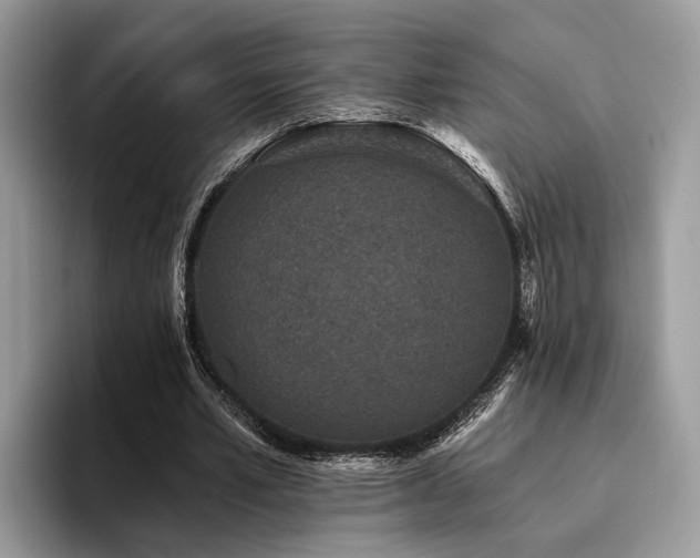 X0000096210581200801181432
