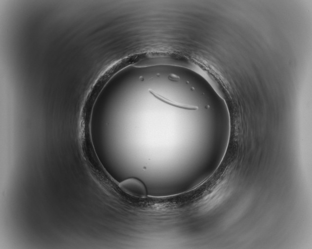 X0000096210584200801181432