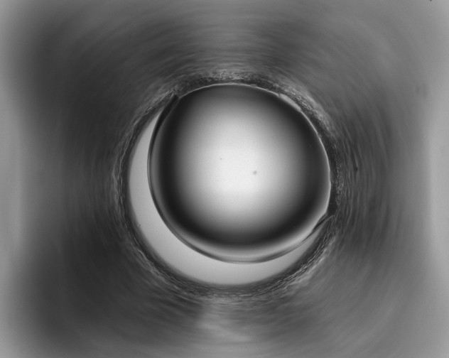 X0000096210585200801181432