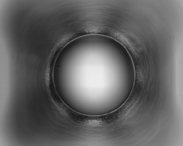 X0000096210586200801181432