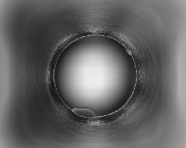 X0000096210587200801181432
