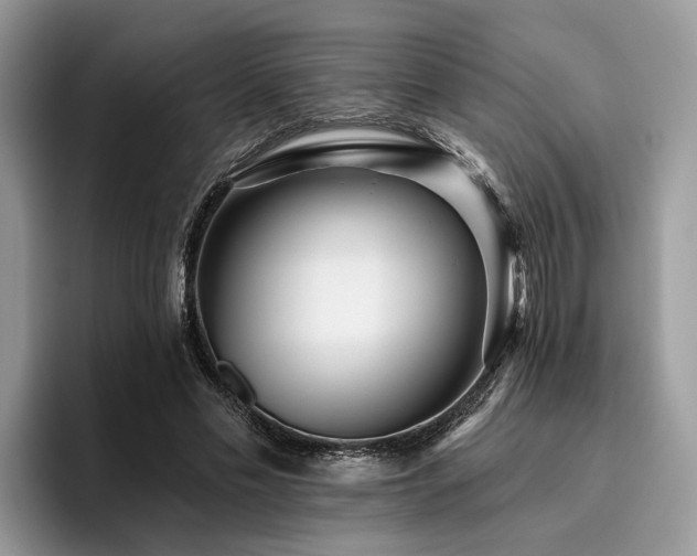 X0000096210589200801181432