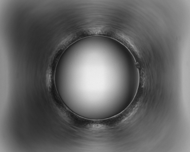 X0000096210590200801181432