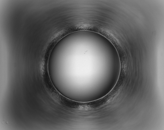 X0000096210591200801181432