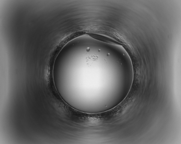X0000096210592200801181432