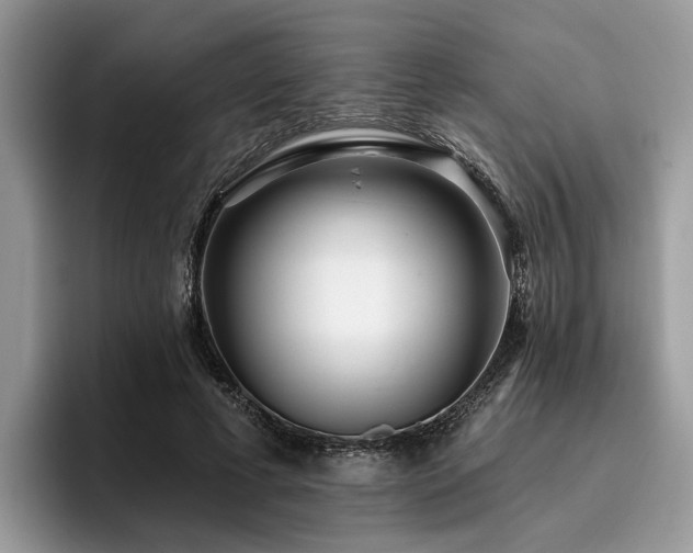 X0000096210593200801181432