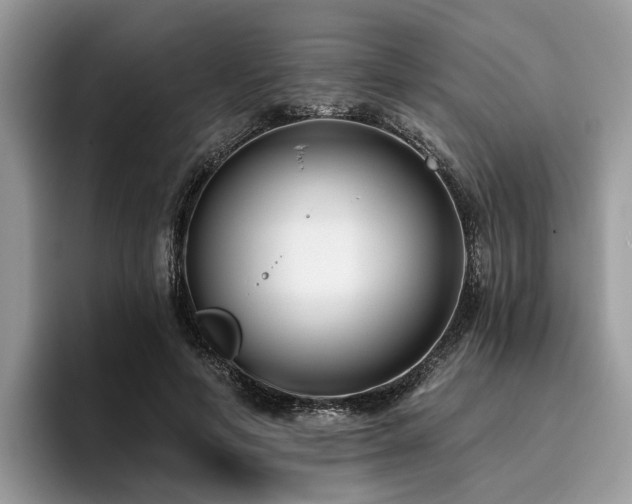 X0000096210594200801181432