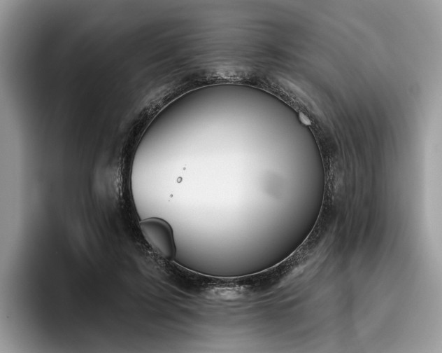 X0000096210595200801181432