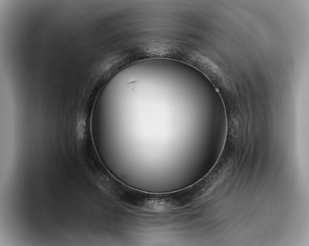X0000096210596200801181432