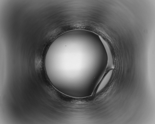 X0000096210597200801181432