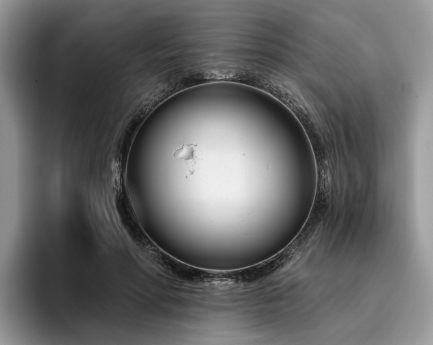 X0000096210598200801181432