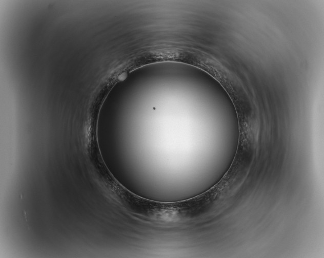 X0000096210600200801181432