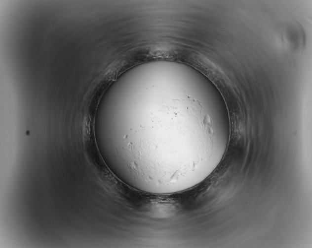 X0000096210603200801181432
