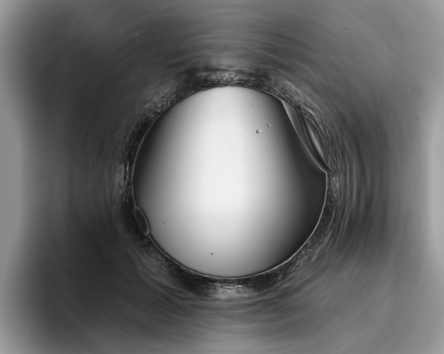 X0000096210605200801181432