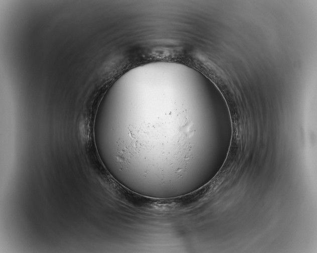 X0000096210606200801181432