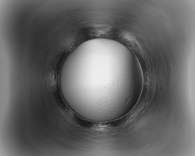 X0000096210607200801181432