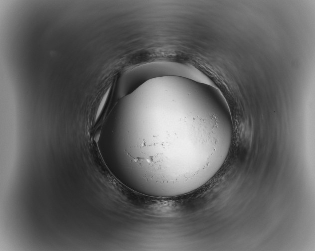 X0000096210609200801181432