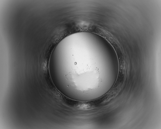 X0000096210610200801181432