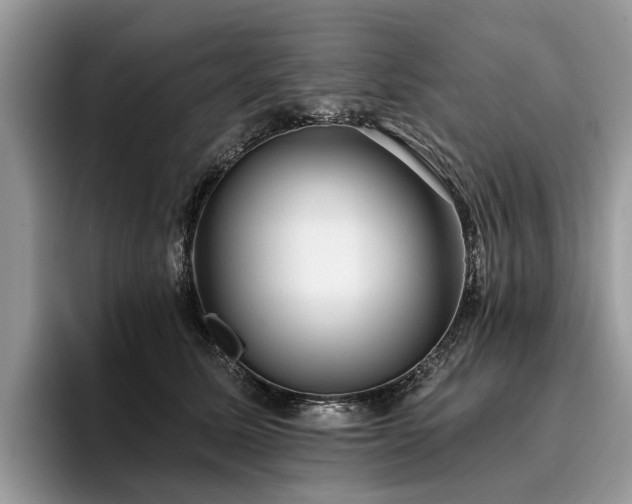 X0000096210611200801181432
