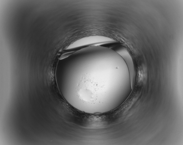 X0000096210613200801181432