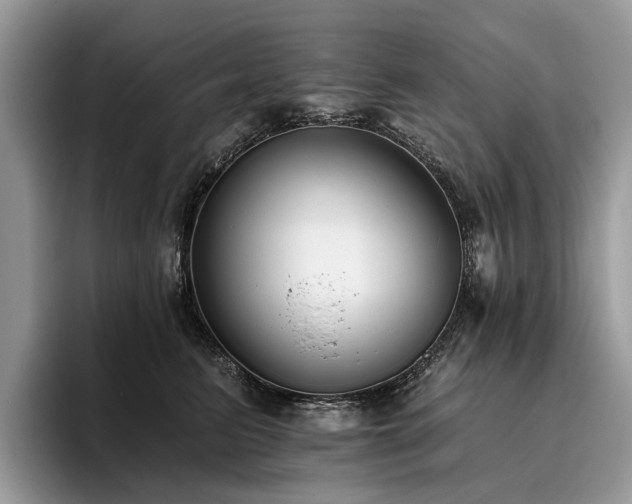 X0000096210615200801181432