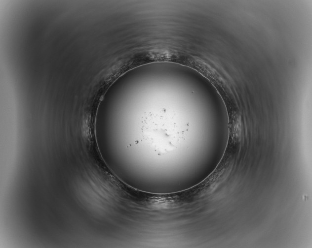 X0000096210616200801181431