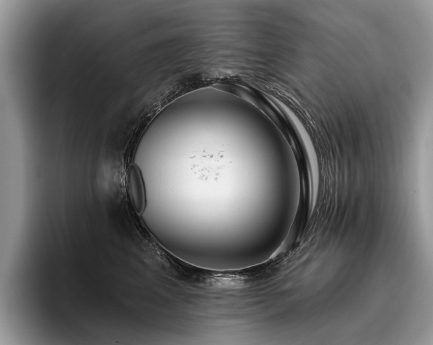 X0000096210617200801181431