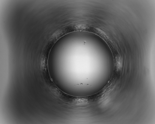 X0000096210619200801181431