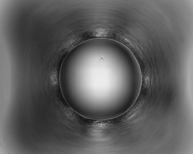 X0000096210620200801181431